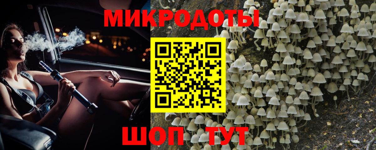 Галлюциногенные грибы мицелий Саянск