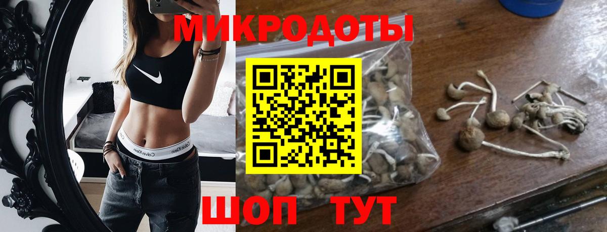 Псилоцибиновые грибы Cubensis  Вход с VPN  Саянск 